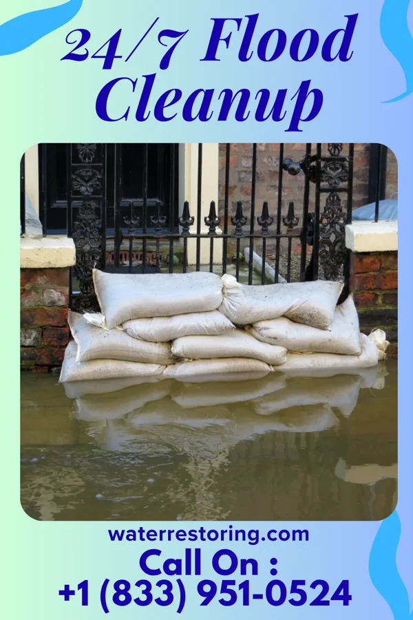 24/7 Flood Cleanup in Bellflower, IL